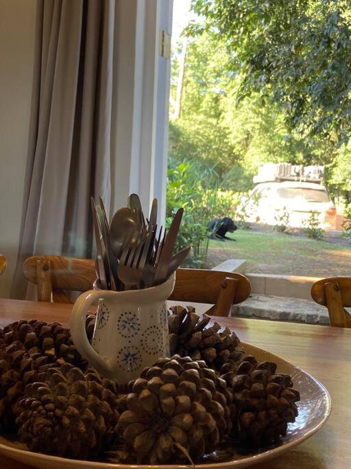 Yellowwoods Farm - Willoughbys Cottage And Old Stables Cottage Curryʼs Post Exteriér fotografie