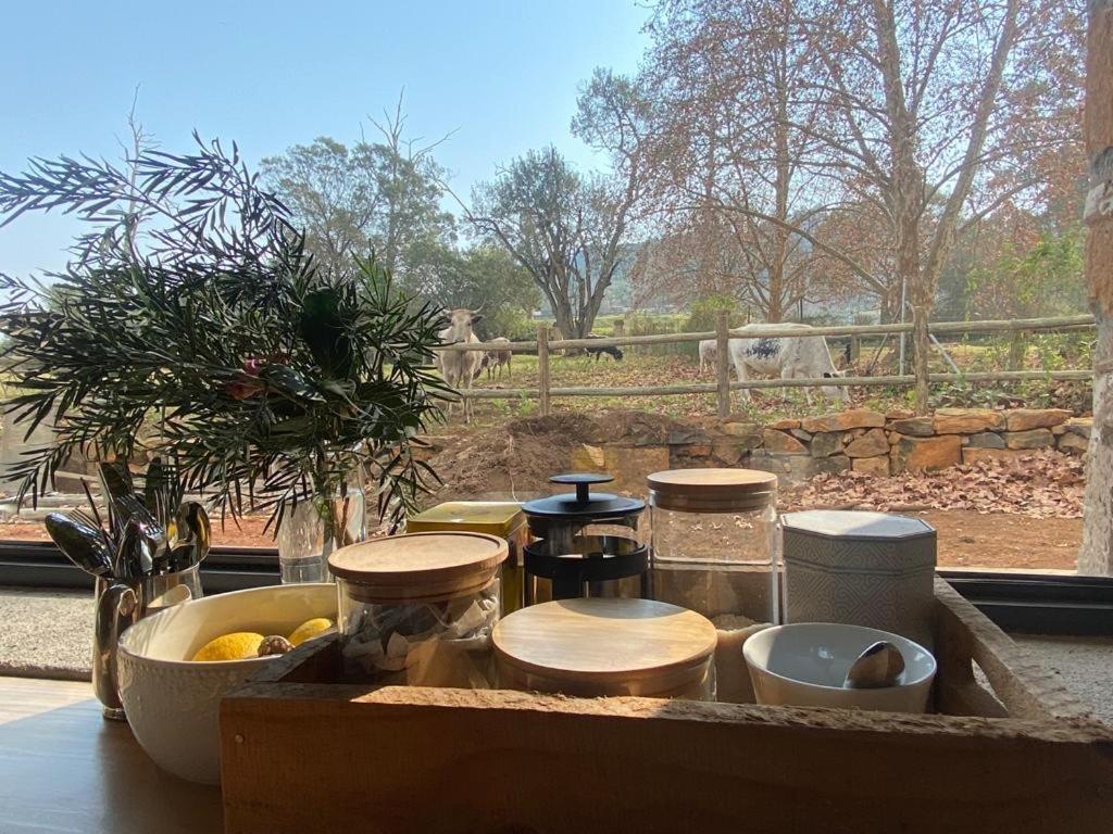 Yellowwoods Farm - Willoughbys Cottage And Old Stables Cottage Curryʼs Post Exteriér fotografie